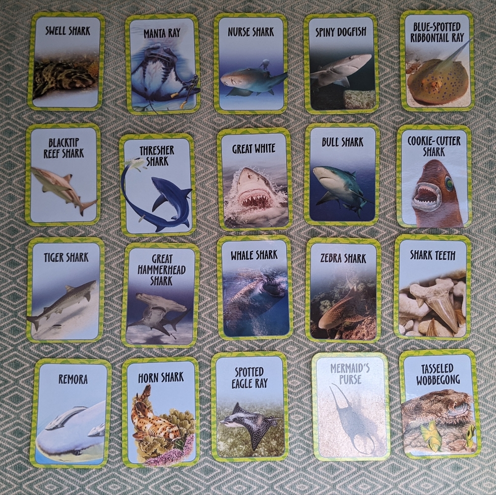 20 Shark Cards & Shark Stand Up